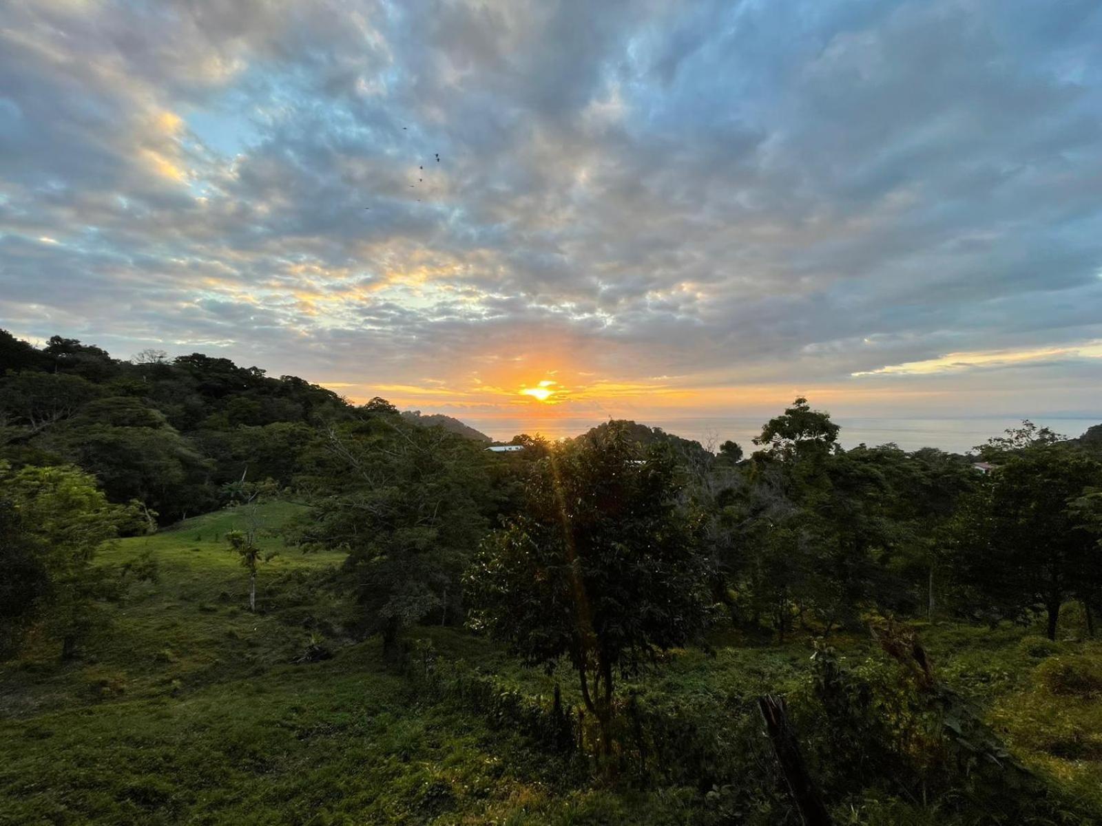Pura Natura Lodge Manuel Antonio Exterior photo